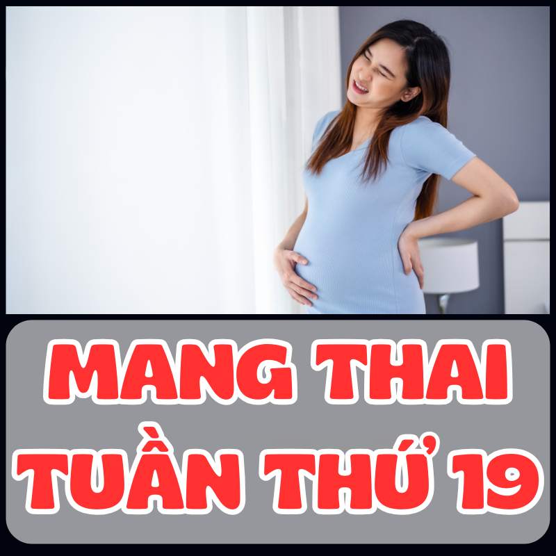 Mang thai tuần thứ 19